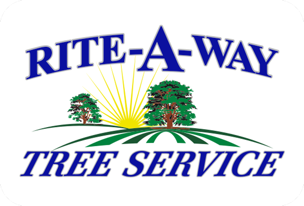 RAW Tree Service: St. Charles's Best Tree Service